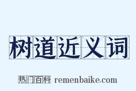 树道近义词是什么意思的图片